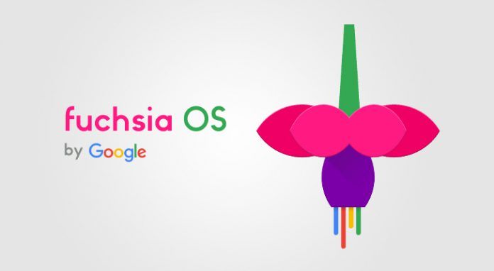 fuchsia