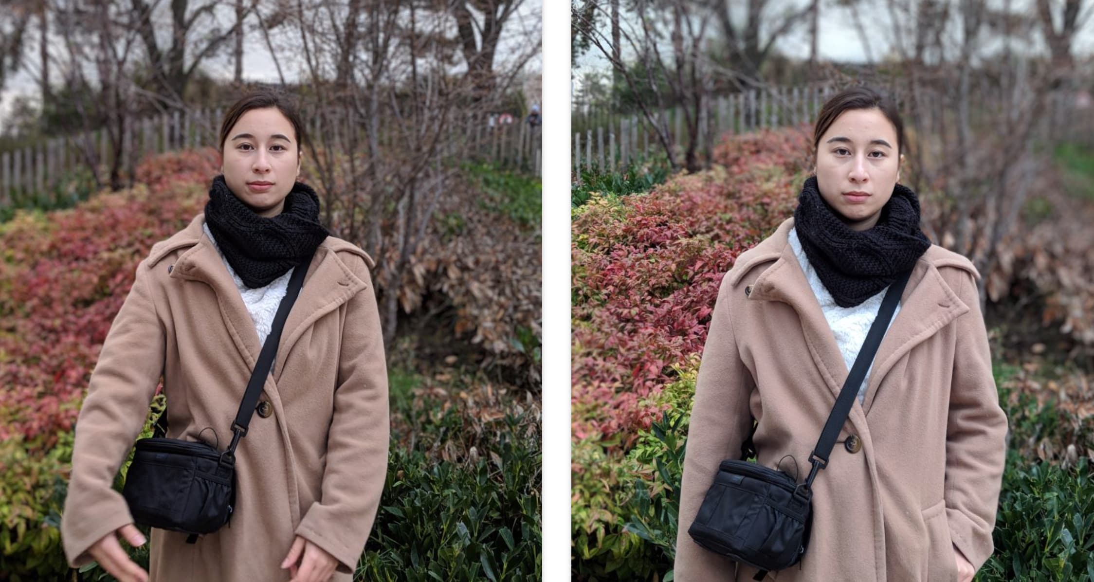 Pixel 3 vs Pixel 2