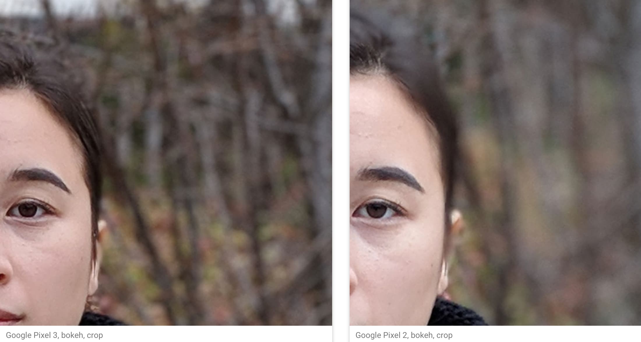 Pixel 3 vs Pixel 2 Zoom