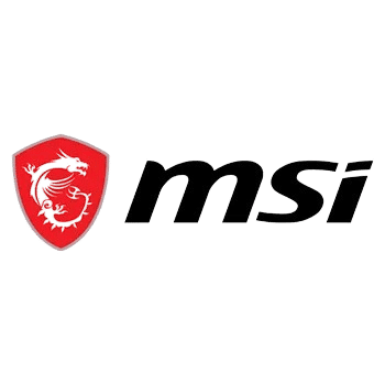 MSI