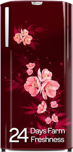 Godrej RD EDGENEO 207D THF MP WN 180 L 4 Star Direct Cool Side By Side Door Refrigerator