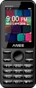 ANEE Rodeo