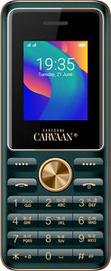 Saregama Carvaan M11