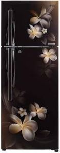 LG GL-T322RHPN 308 L 4 Star Direct Cool Double Door Refrigerator