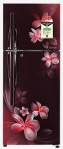 LG GL-T292RSPN 260 L 4 Star Frost Free Double Door Refrigerator