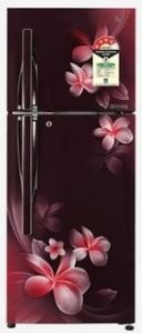 LG GL-T292RSPN 260 L 4 Star Frost Free Double Door Refrigerator