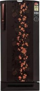 Godrej RD Edge Pro 210 PD 4.2 210 L 4 Star Double Door Refrigerator