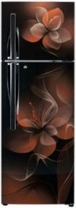 LG GL-T292RHDN 260 L 4 Star Double Door Refrigerator