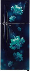 LG GL-T292RBCY 260 L 2 Star Inverter Frost Free Double Door Refrigerator