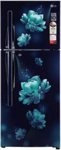 LG GL-S292RBCY 260 L 2 Star Inverter Frost Free Double Door Refrigerator