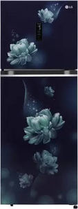 LG GL-T342TBCY 340 L 2 Star Inverter Frost Free Double Door Refrigerator