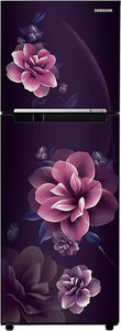 Samsung RT28C3022CR 236 L 2 Star Inverter Frost Free Double Door Refrigerator
