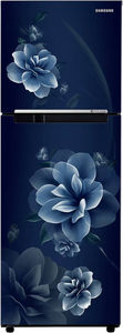 Samsung RT28C3022CU 236 L 2 Star Inverter Direct Cool Double Door Refrigerator