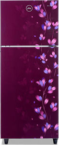 Godrej RT EONALPHA 250B 25 RI JD WN 234 L 2 Star Inverter Frost Free Double Door Refrigerator