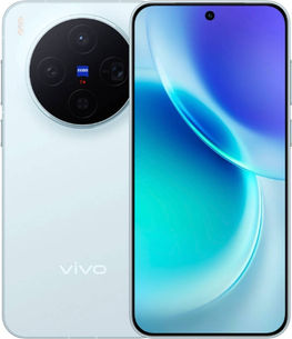 vivo X300