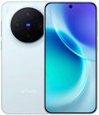 Vivo X300