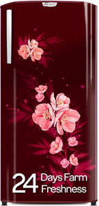 Godrej RD EDGENEO 207D THF MP WN 180 L 4 Star Direct Cool Side By Side Door Refrigerator