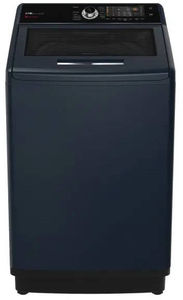 IFB 12 Kg Fully Automatic Top Load Washing Machine (TL121RB2S)