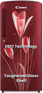 Candy CSD1962RL 185 L 2 Star Direct Cool Single Door Refrigerator