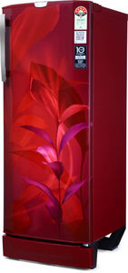 Godrej RD EDGEPRO 255E TAI MN WN 234 L 5 Star Inverter Direct Cool Single Door Refrigerator