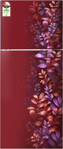 Godrej RT EONALPHA 270B RI AR WN 233 L 2 Star Inverter Frost Free Double Door Refrigerator