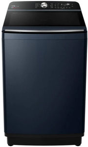 IFB 11 Kg Fully Automatic Top Load Washing Machine (TL111RB2SN)