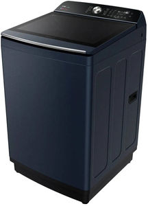 IFB 11 Kg Fully Automatic Top Load Washing Machine (TL111RB2SN)