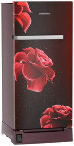 Liebherr DFBrdE 1921 191 L 5 Star Inverter Direct Cool Single Door Refrigerator