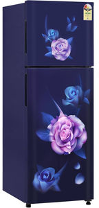 Candy CDD2652EMB 240 L 2 Star Inverter Frost Free Double Door Refrigerator