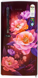 Voltas Beko RDC208E/S0PWE0M0000GD 175 L 1 Star Direct Cool Single Door Refrigerator