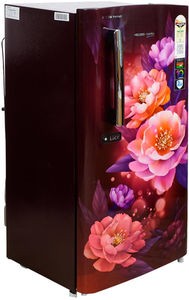 Voltas Beko RDC208E/S0PWE0M0000GD 175 L 1 Star Direct Cool Single Door Refrigerator