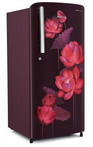 Voltas Beko RDC208D1/D0LWE0M0000GD 175 L 2 Star Direct Cool Single Door Refrigerator