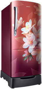 Samsung RR20F2825WR 183 L 5 Star Inverter Direct Cool Single Door Refrigerator