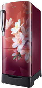 Samsung RR20F2825WR 183 L 5 Star Inverter Direct Cool Single Door Refrigerator