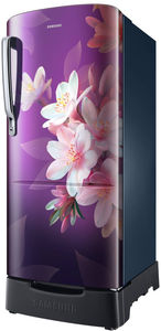 Samsung RR20F2825WB 183 L 5 Star Inverter Direct Cool Single Door Refrigerator