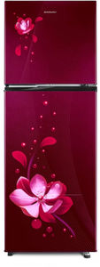 Kelvinator KRF-G280RBVMMZ 275 L 2 Star Inverter Frost Free Double Door Refrigerator