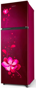 Kelvinator KRF-G280RBVMMZ 275 L 2 Star Inverter Frost Free Double Door Refrigerator