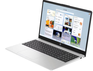 HP 255 G10 (C8HS9AT) Laptop