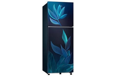 Samsung rt40h28u2pbhl 236 Ltr Double Door Refrigerator