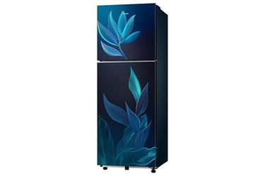 Samsung rt40h28u2pbhl 236 Ltr Double Door Refrigerator