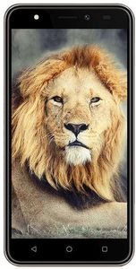 Intex Aqua Lions T1