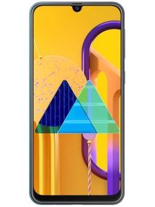 Samsung Galaxy M30s