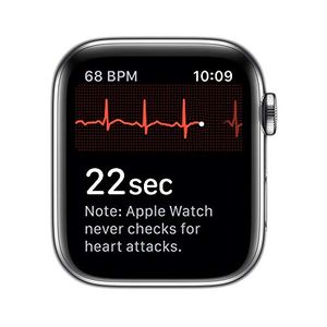 Apple Watch Series 5 Stainless Steel 