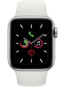 Apple Watch Series 5 Stainless Steel 