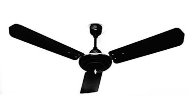 Cinni Fans Price In India 2020 Cinni Fans Price List 2020 13th