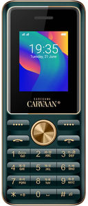 Saregama Carvaan M11