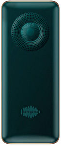 Saregama Carvaan M11