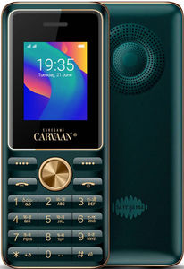 Saregama Carvaan M11