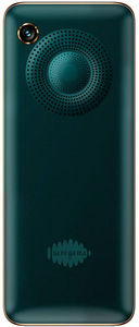 Saregama Carvaan M21