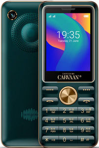 Saregama Carvaan M21